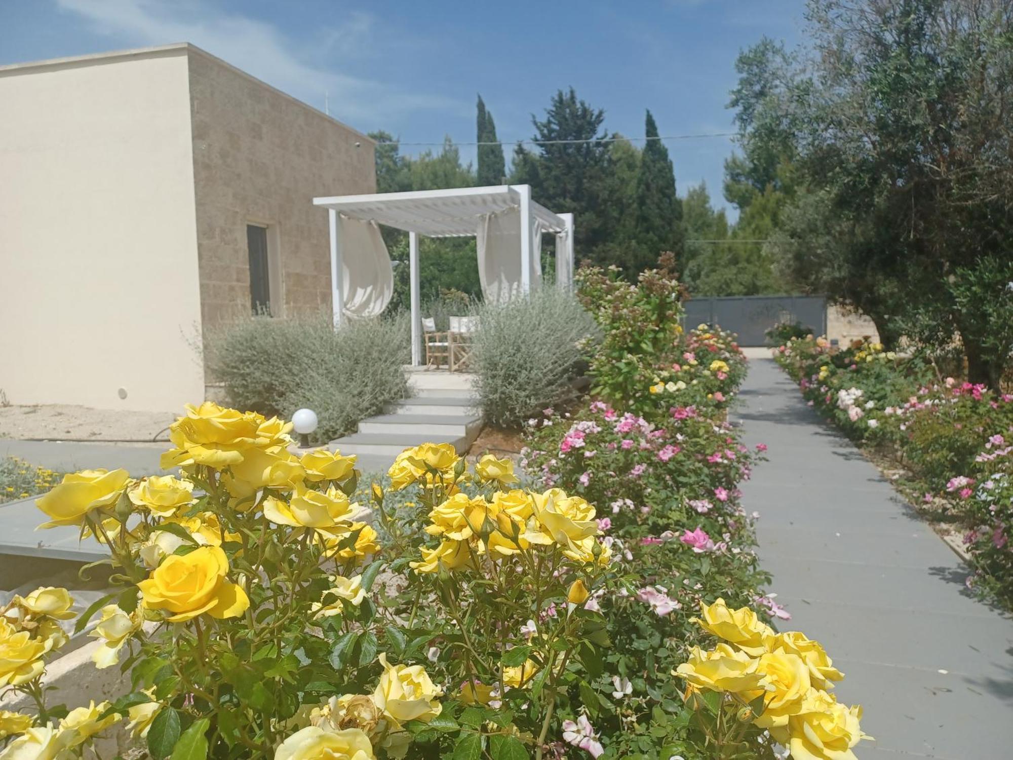 Zeituna Lodge A Porto Cesareo Torre Lapillo Zewnętrze zdjęcie
