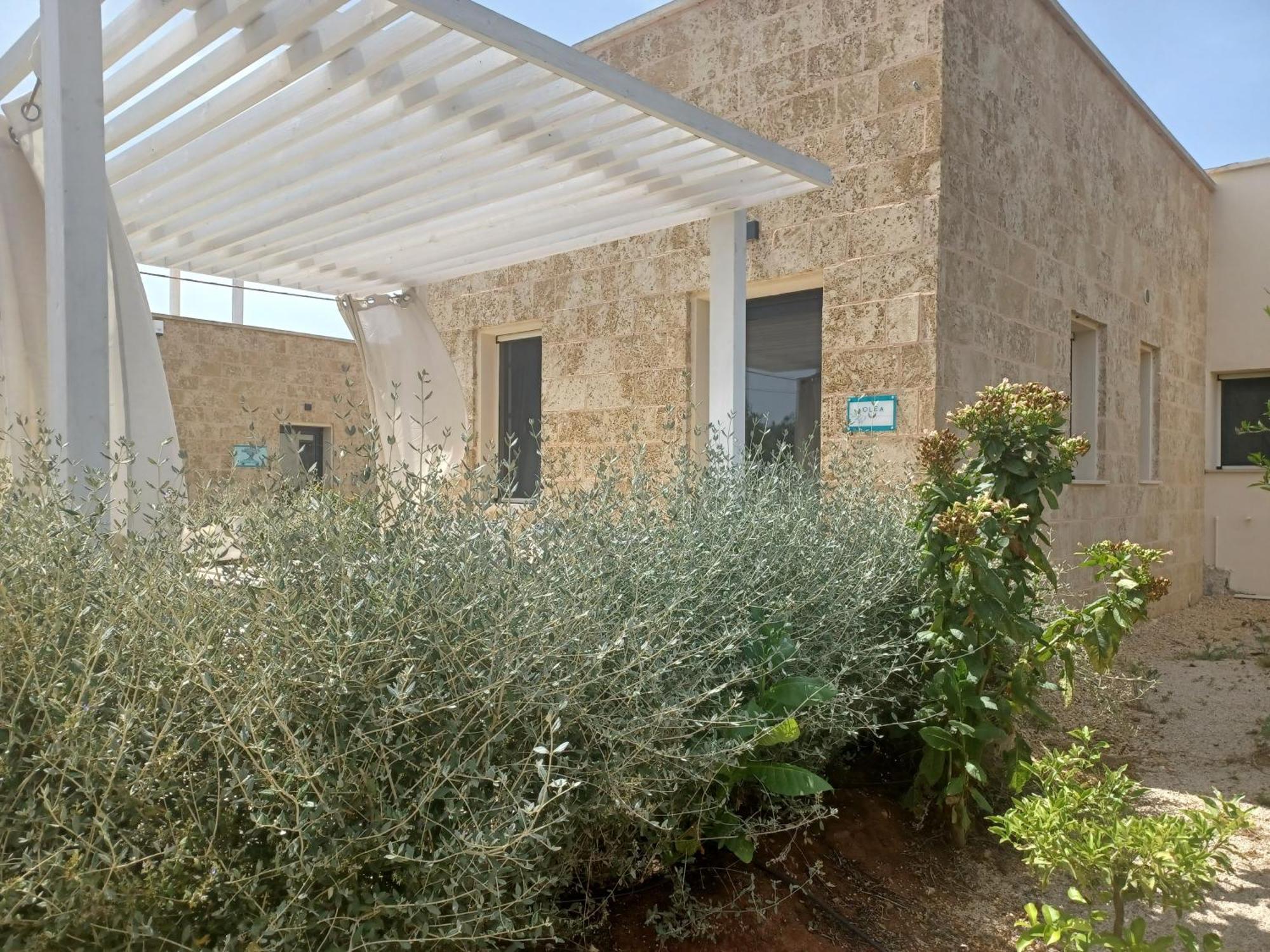 Zeituna Lodge A Porto Cesareo Torre Lapillo Zewnętrze zdjęcie